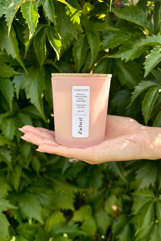Gorteks Natural soy candle DELIGHT 230 ml