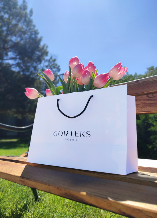 Paper gift bag with ribbon