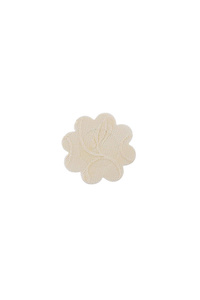 Disposable nipple covers
