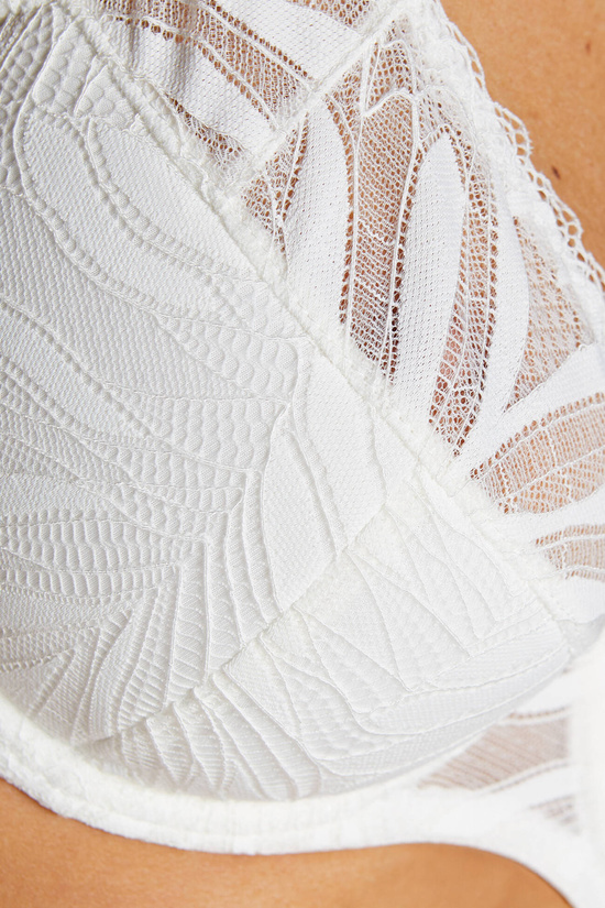 Eclipse lace push-up bra cream