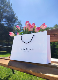 Paper gift bag with ribbon