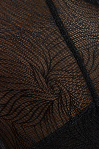 Cate figi z wysokim stanem koronkowe